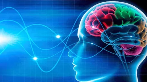 neuroplasticity